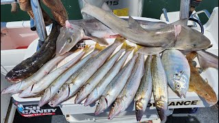 MIXED BAG  Western Port Fishing Jan 2023 [upl. by Eyaj]