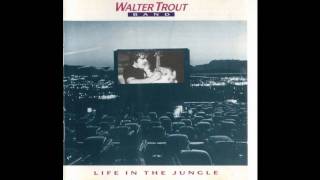 Walter Trout Band  Cold Cold Feeling [upl. by Wisnicki]