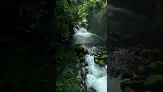 Relaxing Water Flow With Soothing Music shorts [upl. by Duwalt]