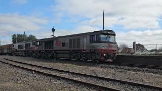 2PM9 SCT quotGrey Ghostquot freighter Forrestfield WA to Laverton VIC 1017 13924 Stawell VIC [upl. by Suneya]