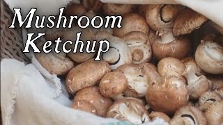 Making Mushroom Ketchup  18th Century Cooking [upl. by Eniluap]