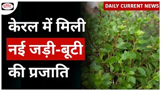 Stellaria Mcclintockiae New Plant Species  Daily Current News  Drishti IAS [upl. by Assir267]