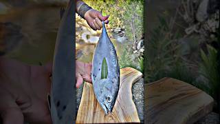 Cooking Bonito Fish cooking cookingfood shortvideo shorts short streetfood [upl. by Binnie]