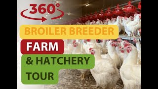 Broiler Breeder Farm amp Hatchery 360 video [upl. by Ahsienek]