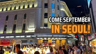 Seoul Vlog 🇰🇷  Myeongdong Street Food and Shopping Fan Merchandise speaking Korean with locals [upl. by Eninahs]