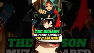 why muzan scared of tanjiro demon slayer explained shorts demonslayer [upl. by Haimaj]