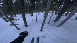 Breckenridge tree skiing 2024 [upl. by Serena358]