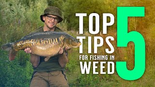 TOP 5 TIPS FOR FISHING IN WEED with Neil Spooner Carp Fishing Knowhow Mainline Baits Carp Fishing [upl. by Mella]