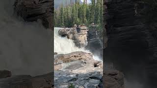 Athabasca falls Alberta Canada 🇨🇦 adventure travel nature [upl. by Annawahs]