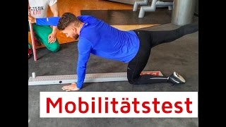 Mobilitätstest  Functional Movement Screen [upl. by Vaas650]