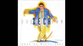 Perfeita Harmonia  Zeca Pagodinho [upl. by Otsirave]