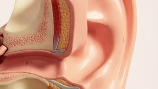 What Is an Outer Ear Infection  Ear Problems [upl. by Gabbey]