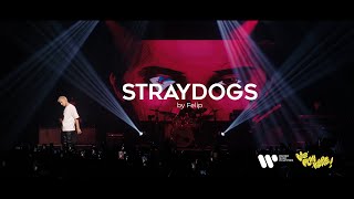 Felip  STRAYDOGS Live at We Play Here [upl. by Woodrow]