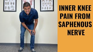 Inner Knee Pain From The Saphenous Nerve  How To Find And Treat It [upl. by Hawkie]