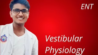 vestibular physiology [upl. by Ahilam]