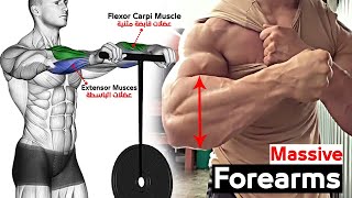 Ultimate Forearm Workout for Massive Gains [upl. by Lem]