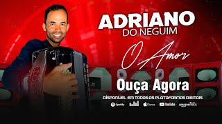 O Amor  Cover Banda Baetz  Adriano do Neguim [upl. by Donelu]