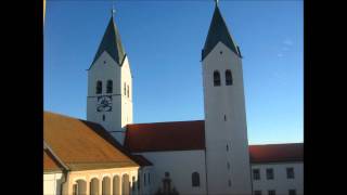 Freising Dom St Maria und Korbinian altes Plenum [upl. by Lesoj]