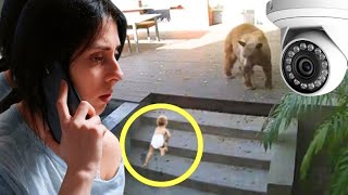 A bear ATTACKS a baby girl while her babysitter is DISTRACTED [upl. by Vullo]