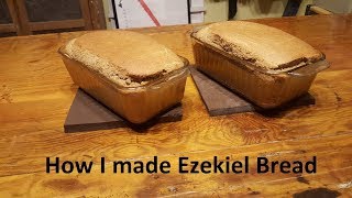 How I made Ezekiel Bread [upl. by Oslec894]