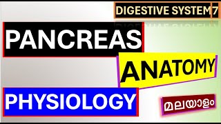 Pancreas Anatomy Physiology Malayalam Digestive Function of Pancreas Malayalam Digestion physiology [upl. by Eirolam517]