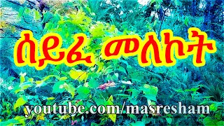 ሰይፈ መለኮት  Seife Melekot [upl. by Selwyn]