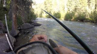 Vallecito creek Vlog [upl. by Mundford]