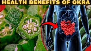 Health Benefits Of Okra [upl. by Aliber583]