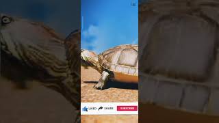 Can Turtles take off their shell😱‼️viral hindibisht shorts [upl. by Amalea]