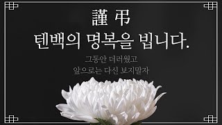 이 전술 쓰고도 텐백 못잡으면 절 욕하세요 [upl. by Kolivas]