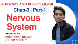 Nervous System Anatomy and Physiology2 Chap3Part1 UrduHindi  BSN Study KMUMCQS [upl. by Lrig]