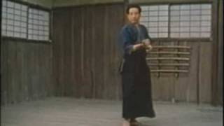 Tenshin Shōden Katori Shintōryū 2  Risuke Otake [upl. by Nyad]