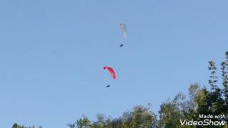 Paragliding Gleitschirmfliegen Sponsheimer Berg Laubenheim  Dorsheim RheinlandPfalz [upl. by Claire]