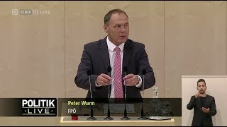 Peter Wurm  Wiener Mindestsicherung RHBericht  1652018 [upl. by Vlada]