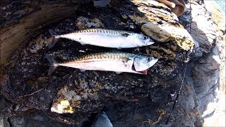 Shore Fishing  Spinning for Mackerel  Tips for Beginners [upl. by Nimsay]