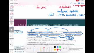 Sleep physiology lecture 1 neurology 28  First Aid USMLE Step 1 in UrduHindi [upl. by Valene120]