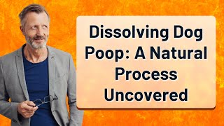 Dissolving Dog Poop A Natural Process Uncovered [upl. by Rosalind972]