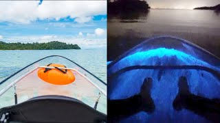 How to see Bioluminescence in Thailand  Railey Beach Travel Guide [upl. by Eeimaj]