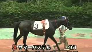 佐賀競馬場 イメージソング「Its A Green Dream」 [upl. by Trahurn]