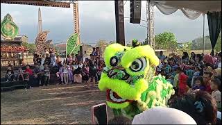 barongsai di kertodimoro fest [upl. by Alliuqahs606]