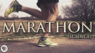 The Science of Marathon Running [upl. by Navets249]