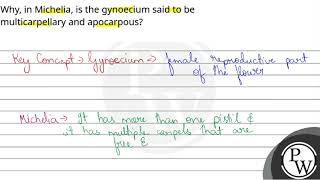 Why in Michelia is the gynoecium said to be multicarpellary and apocarpous [upl. by Mellitz]