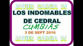 indomables de cedral mix cumbias JGDJ [upl. by Naoma]