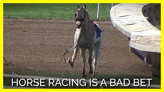 Drugs Breakdowns Death Horse Racing Is a Bad Bet [upl. by Ibbor596]