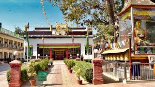 Tibetan Buddhist Monastery in Sarnath Varanasi India—Constructed in 1955 [upl. by Liagabba876]