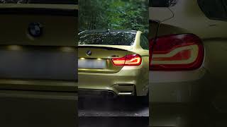 Full video on my channel BMW M4 F82 Stage 1 POV and FLYBYS cartok bmwm bmwm4 [upl. by Woodson229]