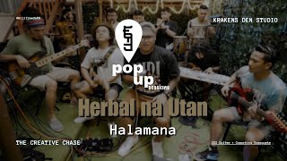 Willfreedo  Herbal na Utan Halamana cover [upl. by Dalury]