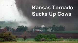 Kansas tornado sucks up cows and blows farm apart [upl. by Diogenes]