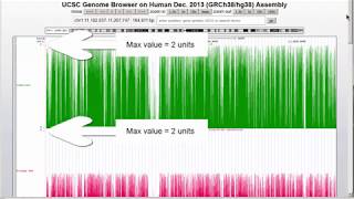 Track Collection Tool at the UCSC Genome Browser  Quick Start [upl. by Nyahs]