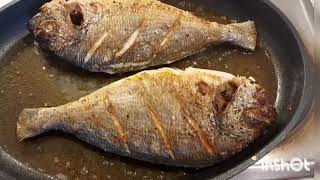 Dorade fish fry।How to make 10min Dorade fish fry Recipe [upl. by Kerad51]